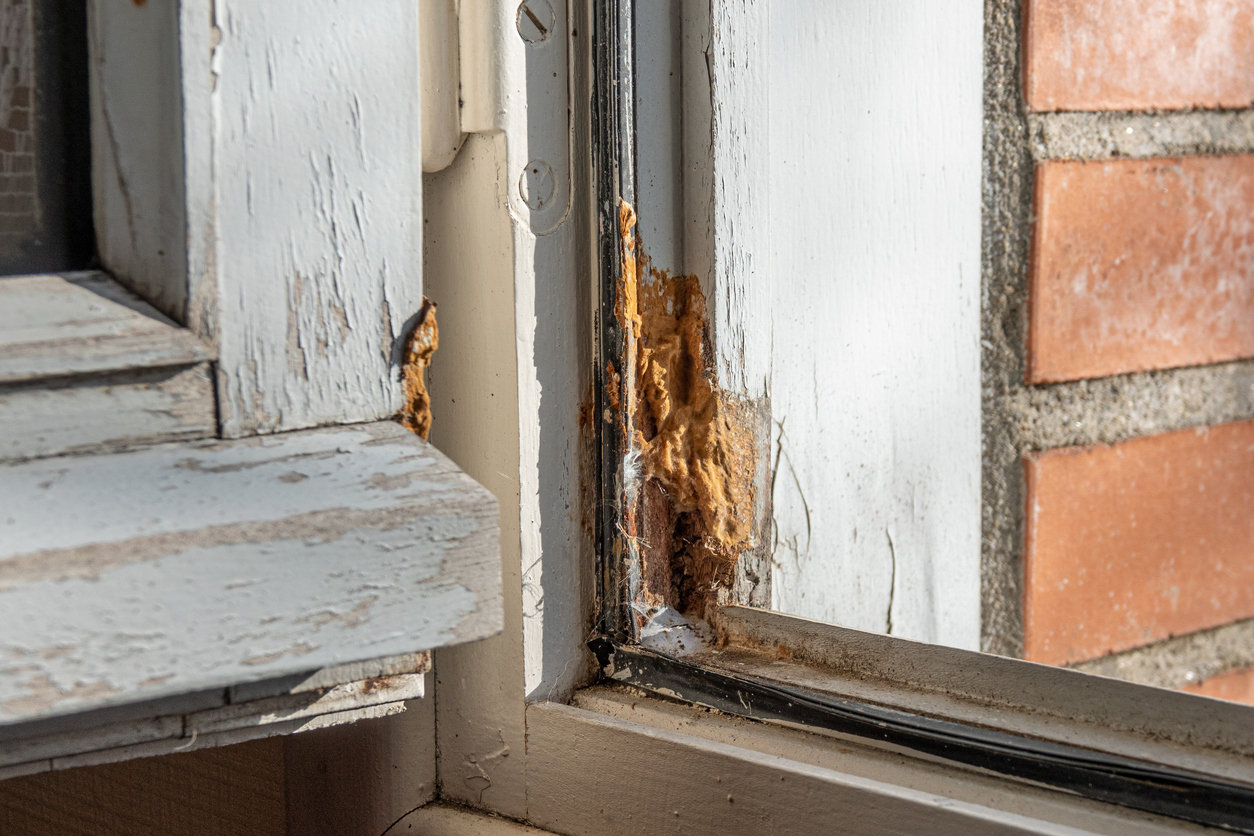 Wood-decay in a Union City area home