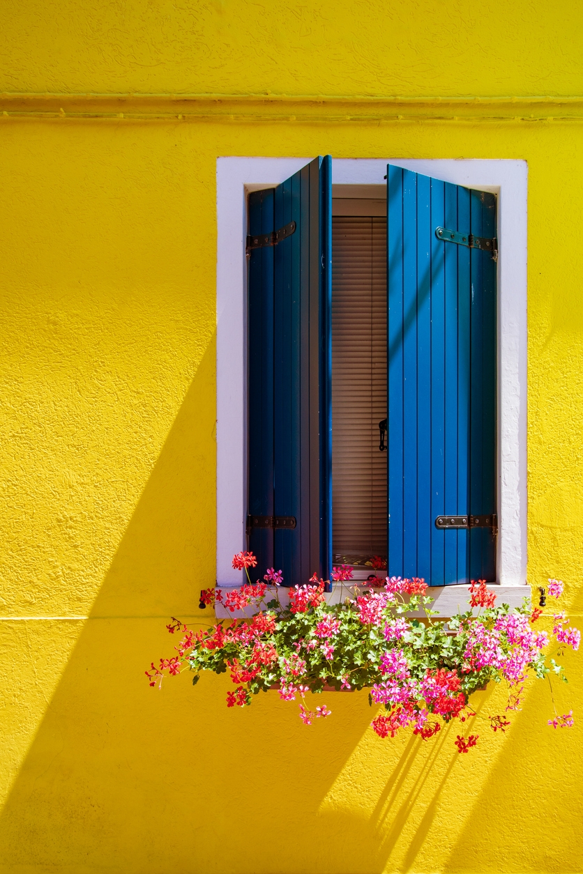 Window with shutters, bright yellow facade and flowers in a Newark, CA home